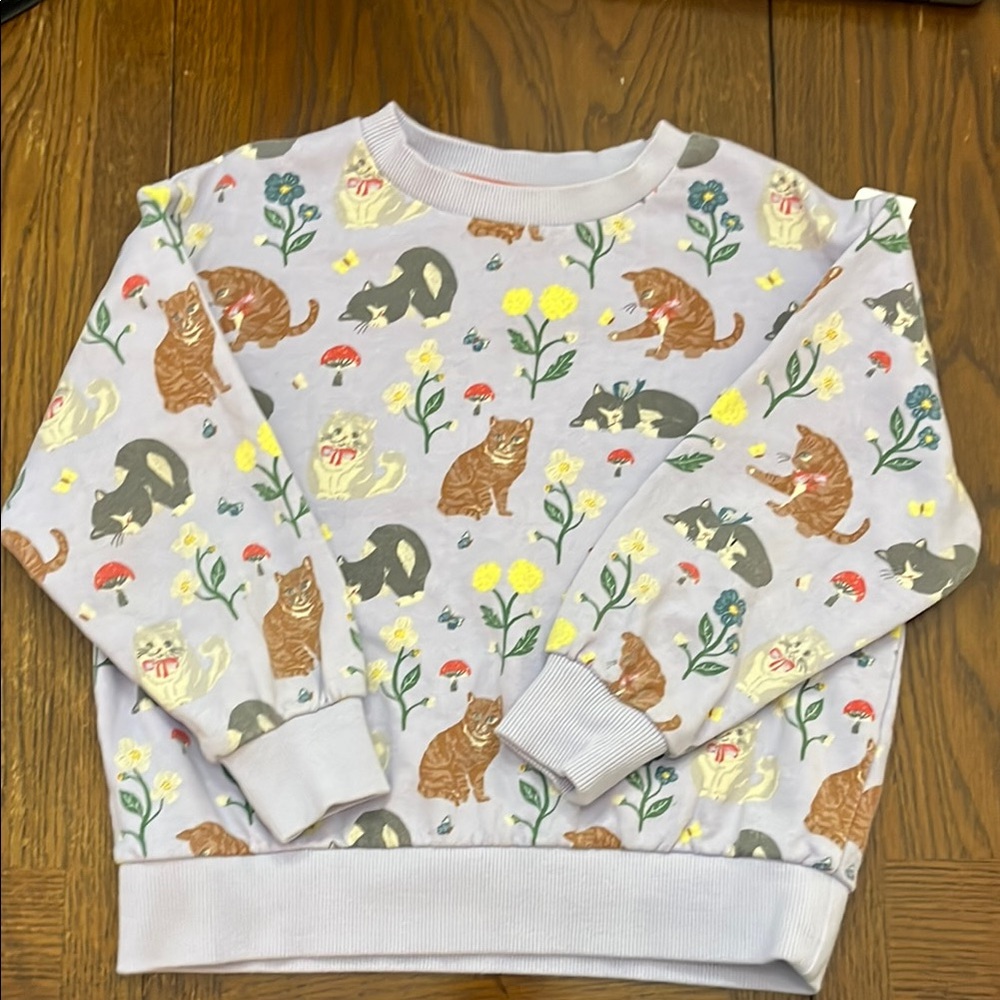 Mini Boden Purple and Red Woodland Animal Sweatshirt